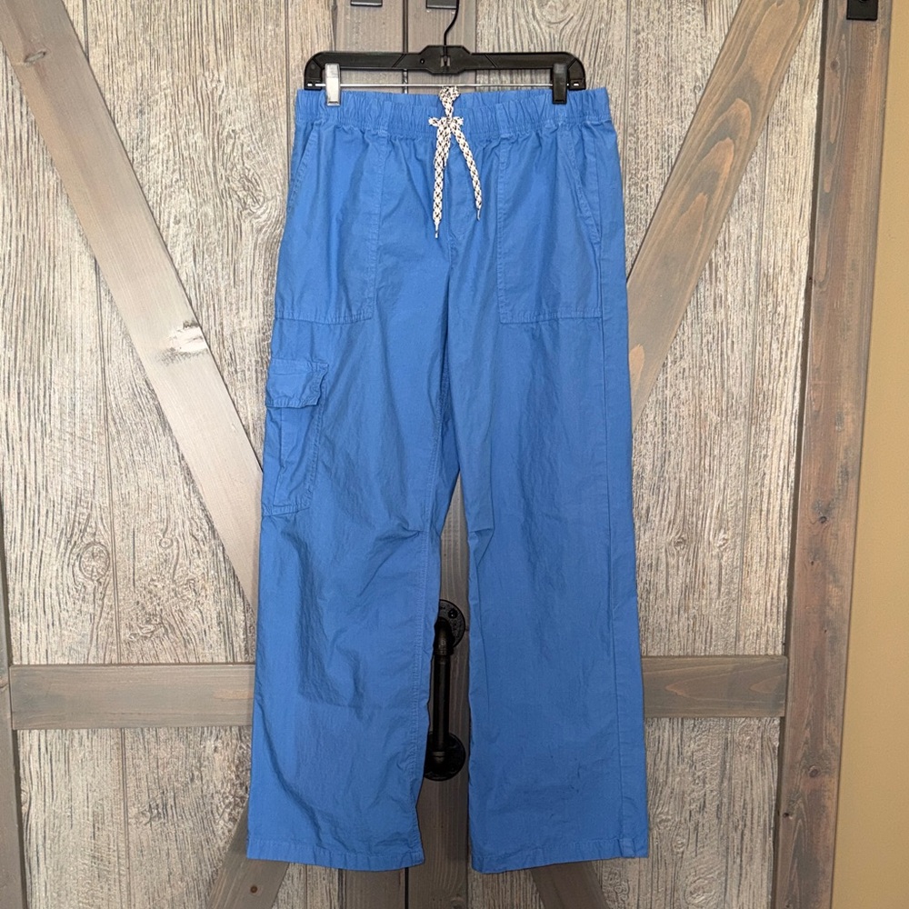 Aerie Blue Cargo Pants